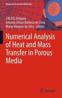 bokomslag Numerical Analysis of Heat and Mass Transfer in Porous Media