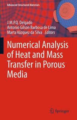 Numerical Analysis of Heat and Mass Transfer in Porous Media 1