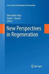 bokomslag New Perspectives in Regeneration