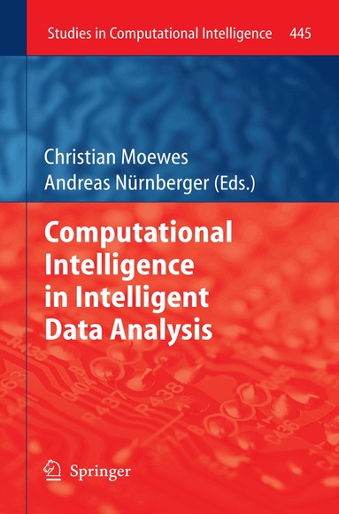 Christian Moewes, Andreas Nürnberger - Computational Intelligence in Intelligent Data Analysis, Häftad
