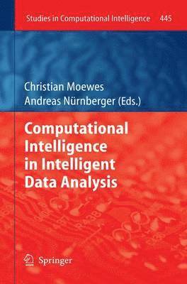 Christian Moewes, Andreas Nürnberger - Computational Intelligence in Intelligent Data Analysis, Häftad
