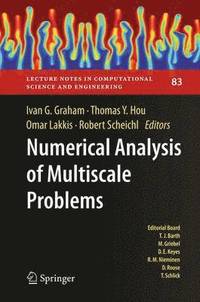 bokomslag Numerical Analysis of Multiscale Problems