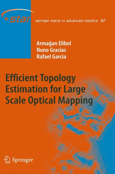 bokomslag Efficient Topology Estimation for Large Scale Optical Mapping