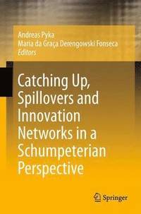 bokomslag Catching Up, Spillovers and Innovation Networks in a Schumpeterian Perspective