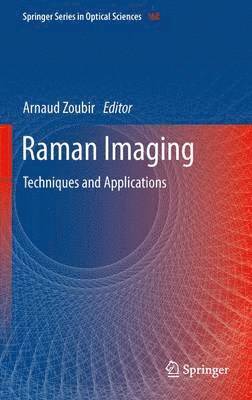 bokomslag Raman Imaging