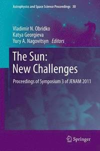 bokomslag The Sun: New Challenges