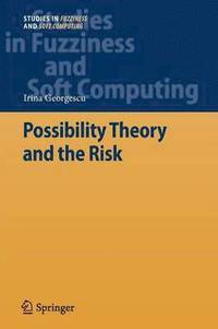 bokomslag Possibility Theory and the Risk