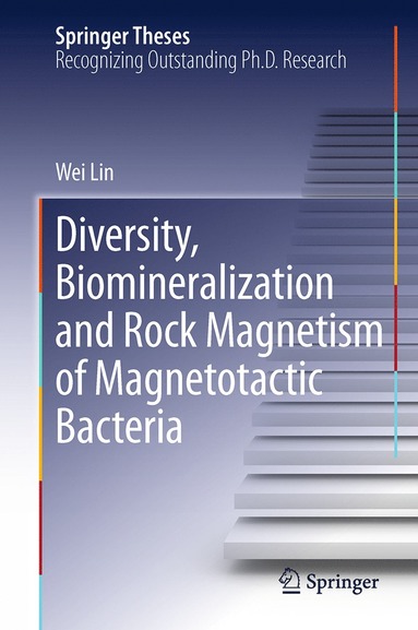 bokomslag Diversity, Biomineralization and Rock Magnetism of Magnetotactic Bacteria