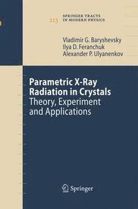 bokomslag Parametric X-Ray Radiation in Crystals