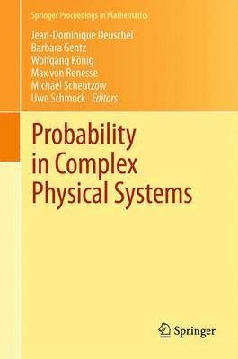 bokomslag Probability in Complex Physical Systems