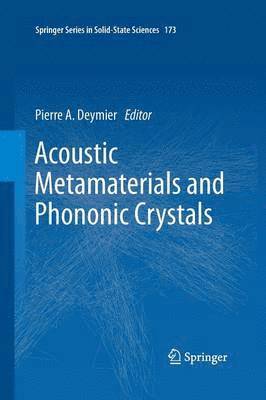 bokomslag Acoustic Metamaterials and Phononic Crystals