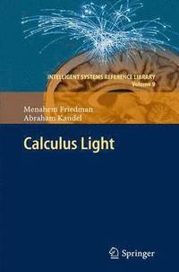 bokomslag Calculus Light