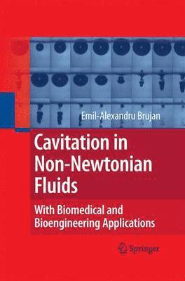 bokomslag Cavitation in Non-Newtonian Fluids