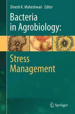 Dinesh K. Maheshwari - Bacteria in Agrobiology: Stress Management, Häftad