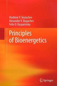 bokomslag Principles of Bioenergetics