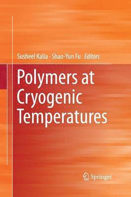 bokomslag Polymers at Cryogenic Temperatures