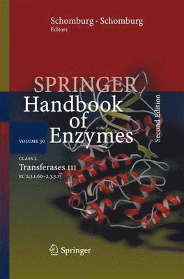 Class 2 Transferases III 1