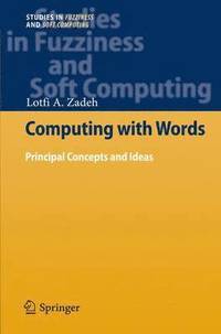 bokomslag Computing with Words