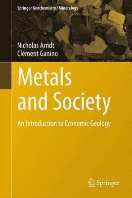 bokomslag Metals and Society