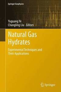bokomslag Natural Gas Hydrates