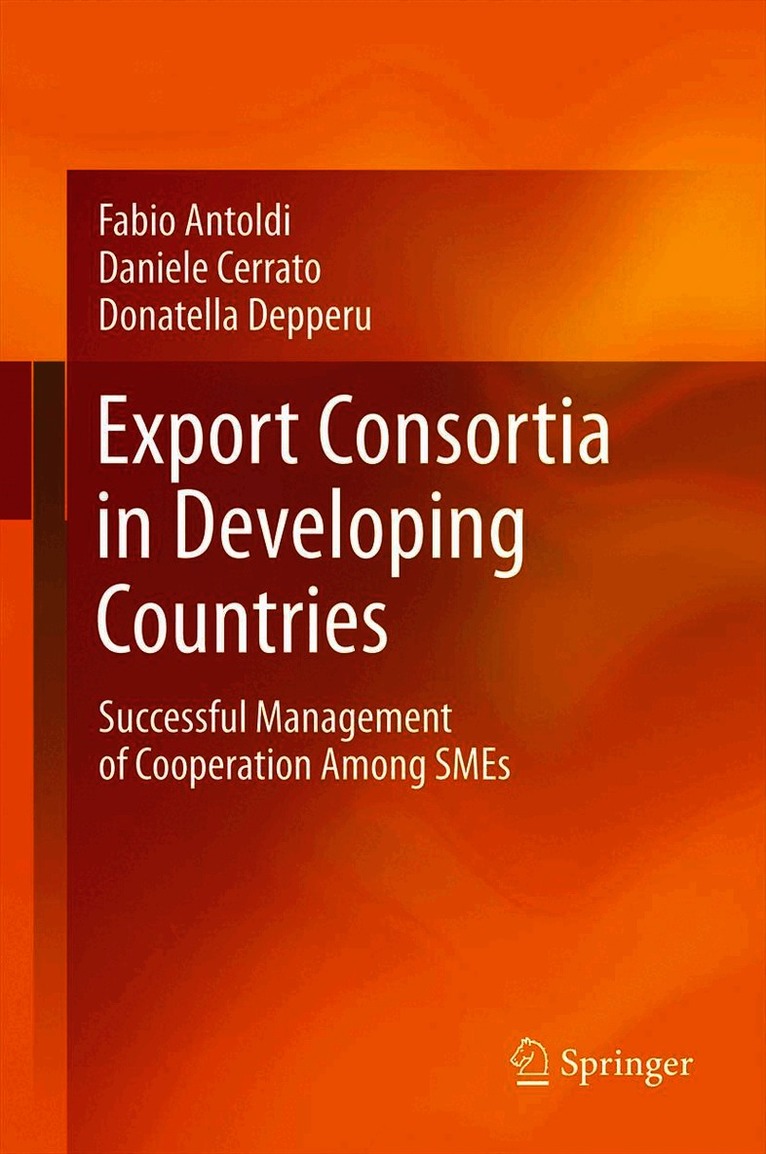 Fabio Antoldi, Daniele Cerrato, Donatella Depperu - Export Consortia in Developing Countries, Häftad