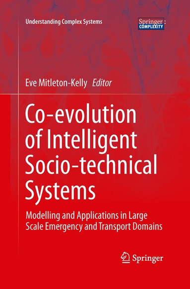 Evangelia Mitleton-Kelly - Co-evolution of Intelligent Socio-technical Systems, Häftad