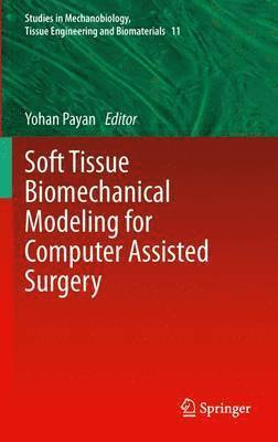 bokomslag Soft Tissue Biomechanical Modeling for Computer Assisted Surgery