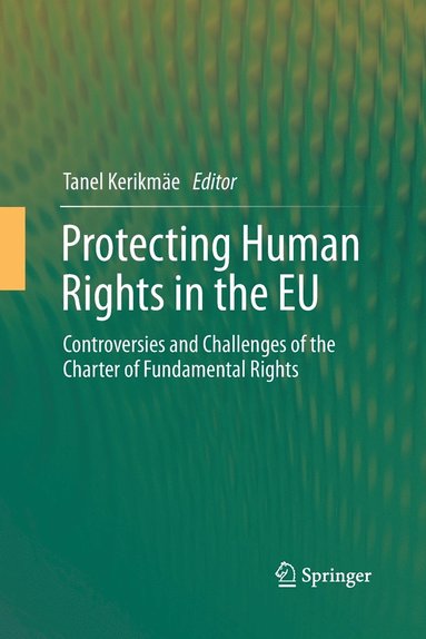 bokomslag Protecting Human Rights in the EU