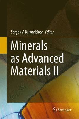 bokomslag Minerals as Advanced Materials II