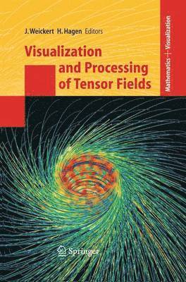 bokomslag Visualization and Processing of Tensor Fields