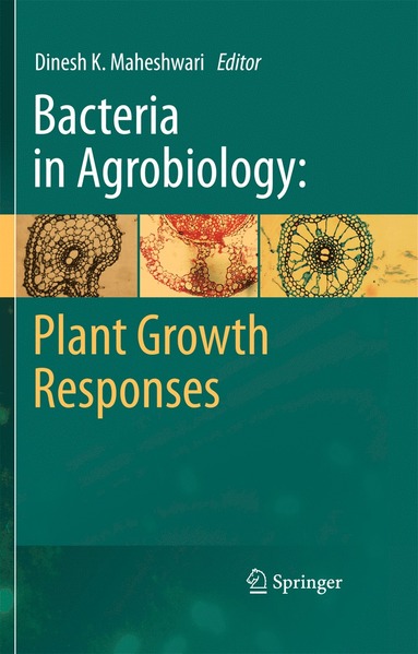 bokomslag Bacteria in Agrobiology: Plant Growth Responses