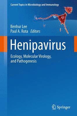 Henipavirus 1