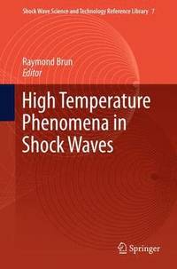 bokomslag High Temperature Phenomena in Shock Waves