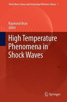 bokomslag High Temperature Phenomena in Shock Waves