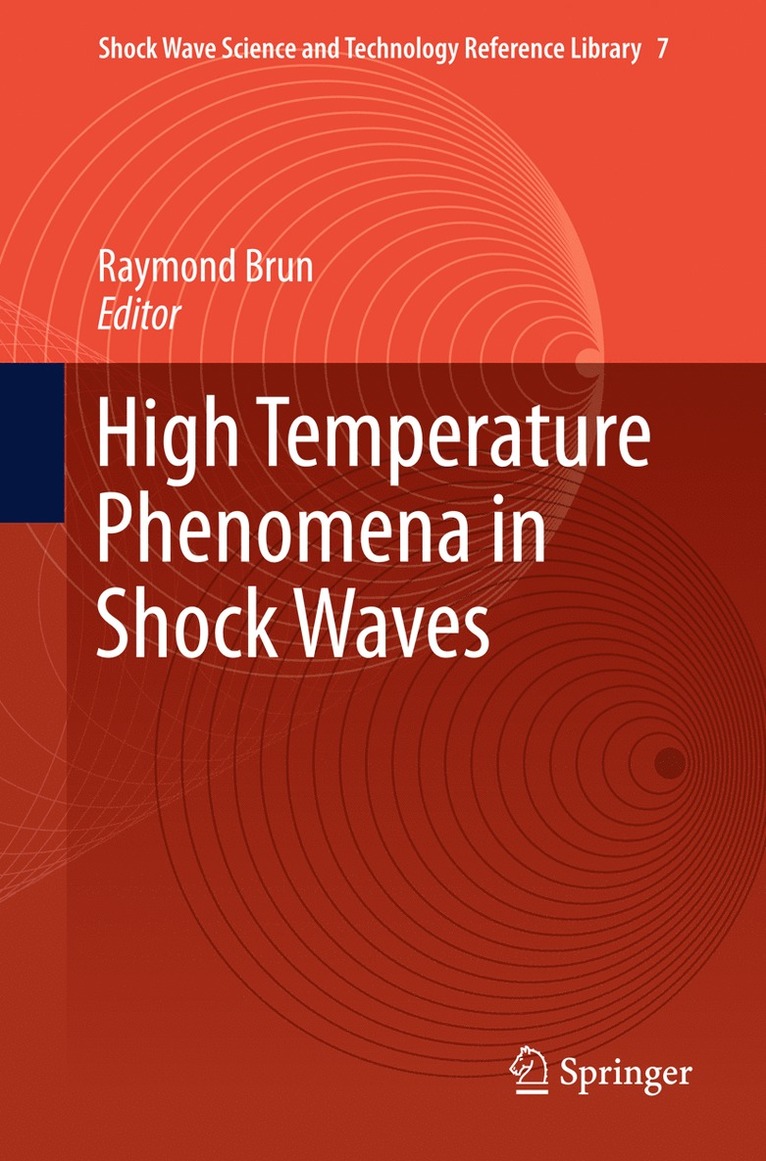 Raymond Brun - High Temperature Phenomena in Shock Waves, Häftad