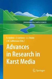 bokomslag Advances in Research in Karst Media