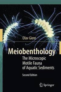 bokomslag Meiobenthology