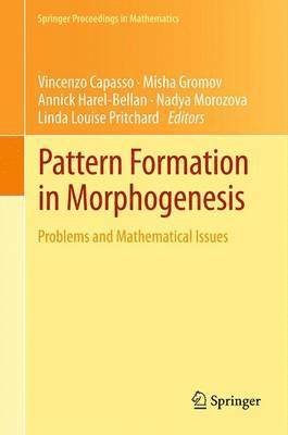 bokomslag Pattern Formation in Morphogenesis
