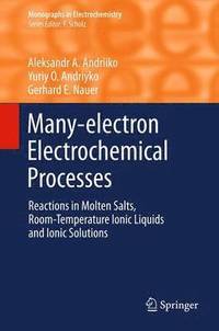 bokomslag Many-electron Electrochemical Processes