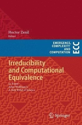 Irreducibility and Computational Equivalence 1