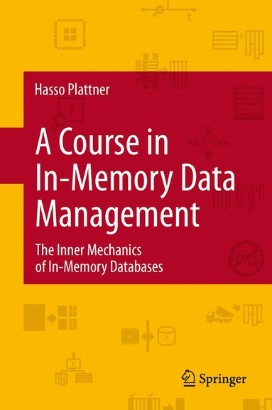 Hasso Plattner - Course in In-Memory Data Management, Häftad