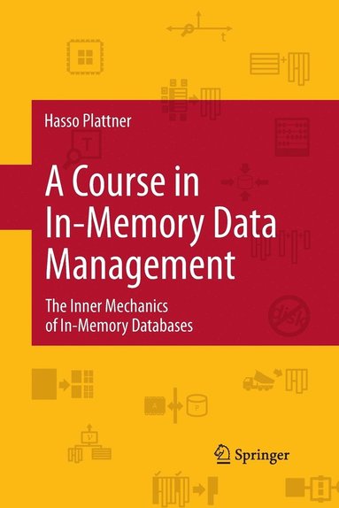 bokomslag Course in In-Memory Data Management