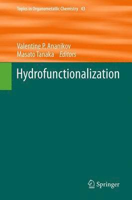 bokomslag Hydrofunctionalization