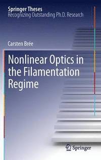 bokomslag Nonlinear Optics in the Filamentation Regime