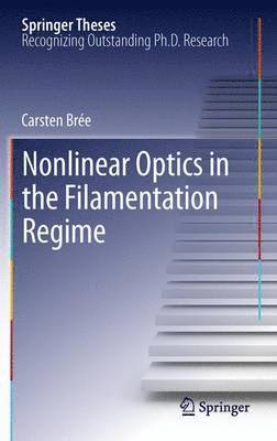 Carsten Brée - Nonlinear Optics in the Filamentation Regime, Häftad