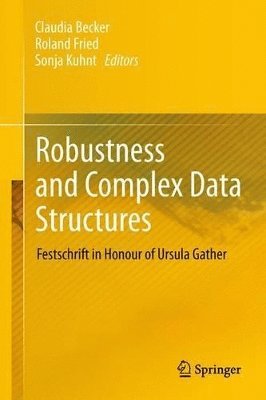 bokomslag Robustness and Complex Data Structures