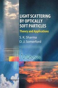 bokomslag Light Scattering by Optically Soft Particles