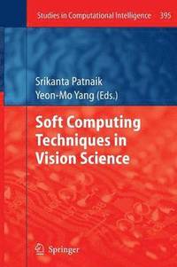 bokomslag Soft Computing Techniques in Vision Science