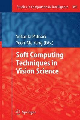 Soft Computing Techniques in Vision Science 1