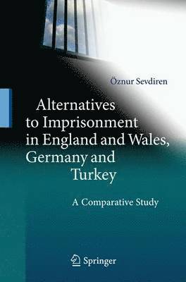 bokomslag Alternatives to Imprisonment in England and Wales, Germany and Turkey